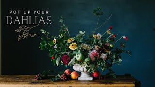 How To Pot Up Your DAHLIAS For Earlier Blooms [upl. by Liuqa476]