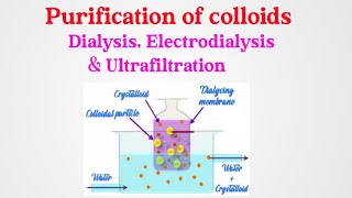 Surface chemistry class 12 Purification of colloids Dialysis Electrodialysis and Ultrafiltration [upl. by Byram]