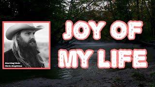 Chris Stapleton  Joy of My Life Lyrics [upl. by Etteve]