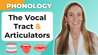 The Articulators amp Vocal Tract  Phonology [upl. by Ydrah99]