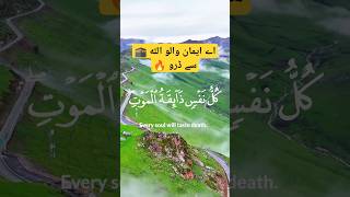 kullu nafsin zaikatul maut quran islamic status [upl. by Okihcas]