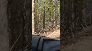 Hot Springs Off Road Park offroad 4x4 4x4offroad utv usa adventure [upl. by Tracy86]