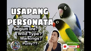 USAPAN SA PERSONATA  BIRD TALK [upl. by Delaney]