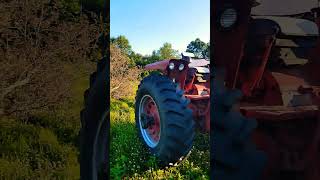 Farmall 826 in Action farmall farmallfanatic redpower shorts [upl. by Aiuqes]