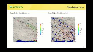 CFD DEM Simulations of Proppant Transport in Rough Fractures [upl. by Deny]