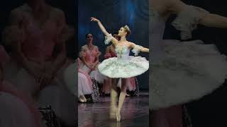 classical Russian ballet The Nutcracker [upl. by Anthe]