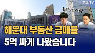 해운대 부동산 투자로 좋은 5억 싼 급매물 아파트 사지말고 상가 꼬마빌딩 사세요 [upl. by Eineg12]