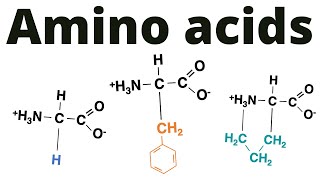 Classification of Amino acids memorize [upl. by Nahtnahoj]