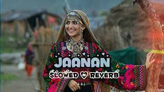 Jaanan  Slow and Reverb  Hadiqa Kiani ft Irfan Khan 🎵 Lofi Songs  SHX MUSIC [upl. by Byrom]