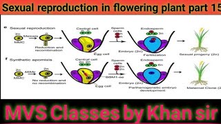 Sexual reproduction in flowering plant part 15 [upl. by Constancia]