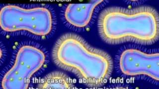 The Animation of Antimicrobial Resistance [upl. by Middendorf]