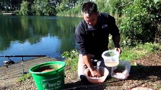 Versatile bird food baits for carp fishing [upl. by Rodriguez607]