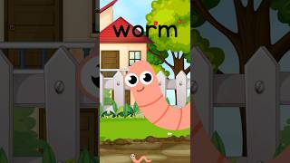 word of the day  WORM can you wiggle like a worm insects names [upl. by Tubb]