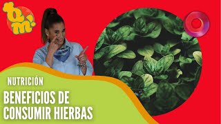 ¿Son buenas las hierbas aromáticas  QuéMañana [upl. by Vick]