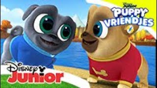 Puppy Vriendjes  Muziek Videos🎶  Disney Junior BE [upl. by Bartle]