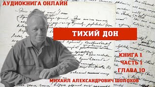 quotТихий Донquot книга 1 часть 1 глава 10 Михаил Шолохов Краткое содержание в описании [upl. by Llertnahs]