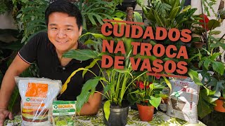 Dicas e Segredos para a Troca de Vasos das plantas  Gaspar Yamasaki e Biomix [upl. by Rattan80]