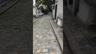 ASMR walk in Graveyard  Headstone Crow cry Cimetière de Montmartre Montmartre Cemetery S6139✝️ [upl. by Kirchner]