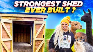 We Built The Strongest Hay Shed For Jodie Marsh [upl. by Sagerman]