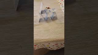 Mini card house can you build card house shorts [upl. by Mansfield]