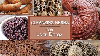 Cleansing Herbs for the Liver and More  Healing Herbs for Detoxification [upl. by Rednav657]