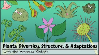 Plants Diversity Structure amp Adaptations [upl. by Branch31]