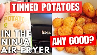 Tinned Potatoes In The Airfryer Any Good airfryer cooking money [upl. by Leatrice]