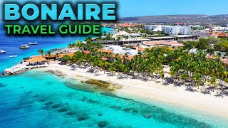 BONAIRE Travel Guide  Top 10 Best Things To Do [upl. by Kimitri459]