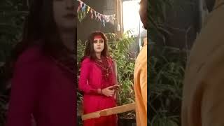 কি মধু আছে নিম ফুলের মধুতে Neem phooler Madhu  নিম ফুলের মধু [upl. by Sucrad]