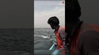 Deep Sea Fishing for King Fish fishing fishingvideo fishingtime [upl. by Ikilisav87]