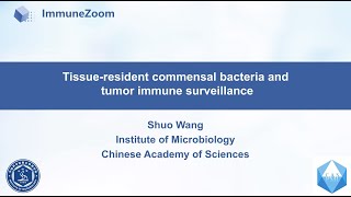 Tissue resident commensal bacteria and tumor immune surveillance [upl. by Naro]