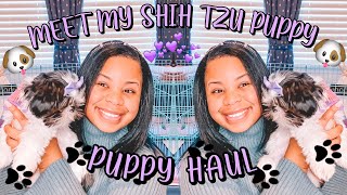 MEET MY SHIH TZU PUPPY  PUPPY HAUL 💜✨🐶🐾 [upl. by Jonati]