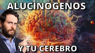 Así Cambian Tu Cerebro los Alucinógenos [upl. by Cherlyn]