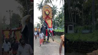 കരുവന്തല ഗണപതി മാമൻ കൂട്ടുക്കെട്ട് 🤩🤩🤩karuvanthala Ganapathy aanapremi elephant pooram [upl. by Ulrike]