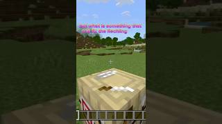 Fletching table update minecraft [upl. by Nair714]