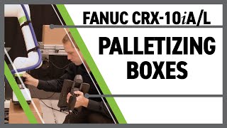 Collaborative Palletizing Robot With Hand Guiding FANUC CRX10iAL [upl. by Neva978]