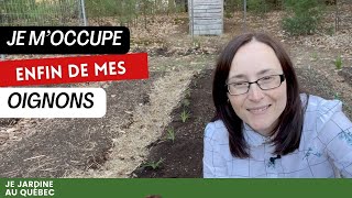 Astuces pour planter les oignons et les échalotes  semis de carottes [upl. by Flan]