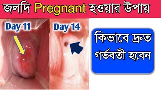 জলদি Pregnant হওয়ার উপায়  কিভাবে দ্রুত গর্ভবতী হবেন How To Get Pregnant Fast Naturally Bangla [upl. by Radman]