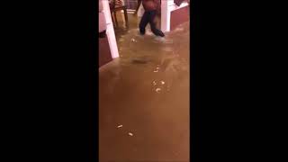 Man Dives Into Water in Flooded House to Capture Fish That Had Swam Inside [upl. by Kery]