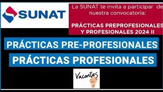 BALOTARIOS PRACTICAS PROFESIONALES Y PREPROFESIONALES SUNAT 2024 REQUISITOS DEL PROCESO DE SELECCION [upl. by Cook42]