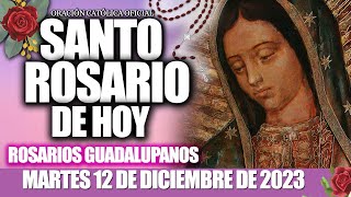 SANTO ROSARIO DE HOY MARTES 12 DE DICIEMBRE DE 2023🌷🌺MISTERIOS DOLOROSOSROSARIOS GUADALUPANOS [upl. by Aikenahs]