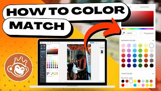 PicMonkey Color Tutorial How to Match Colors Use Hex Codes Color Picker and More [upl. by Malca161]