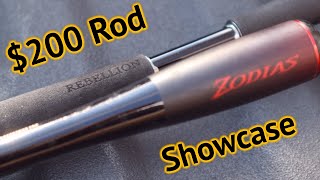 Daiwa Rebellion vs Shimano Zodias 200 Rod Comparison [upl. by Etiragram]