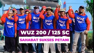 Peluncuran Produk WUZ 200125 SC  Sahabat Sukses Petani  Prov Lampung [upl. by Elleirb494]