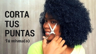 Cómo cortar las puntas  cabello rizado afro [upl. by Nivan3]