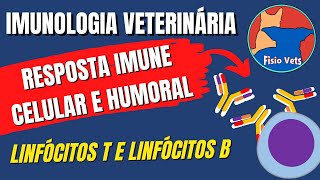 Resposta imune adaptativa  Humoral e celular  Imunologia veterinária [upl. by Albur674]