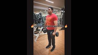 Zottman curl exercise shortsvideo motivation [upl. by Anrev193]