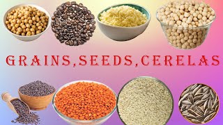 Grains Vocabulary l Grains Seeds amp Cereals Name In English With PicturesChetankidsstudy [upl. by Gus]