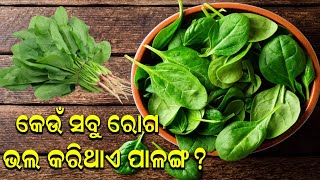 ପ୍ରତିଦିନ ଖାଦ୍ୟରେ ସାମିଲ କରନ୍ତୁ ପାଳଙ୍ଗ  JNEWS ODIA [upl. by Eeltrebor207]