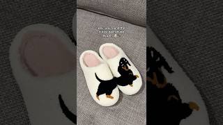 who needs one👀🐶 dachshund gift slippers [upl. by Burroughs807]